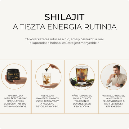 Shilajit Puro del Himalaya - Imagen 5